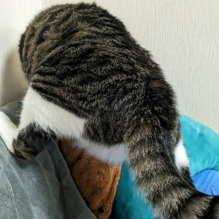 Ebdd93ad 89d8 4a7d 953a fc3cb864a10f 1691137976533