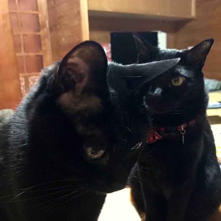 Ebdd9d11 09cc 498d 8ea5 2e9a450d3a6c 1558268491159