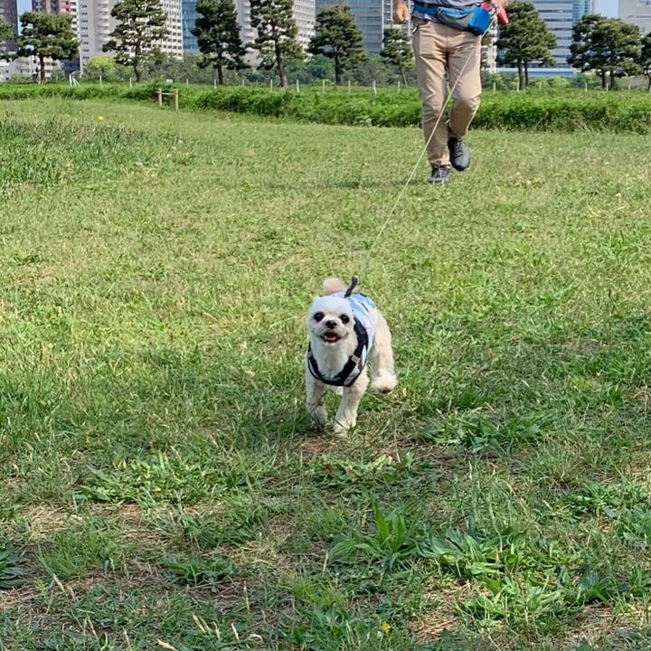 Ebddbf9f 5c26 4fdc 95de 61fefbe9a5f0 1556973546717