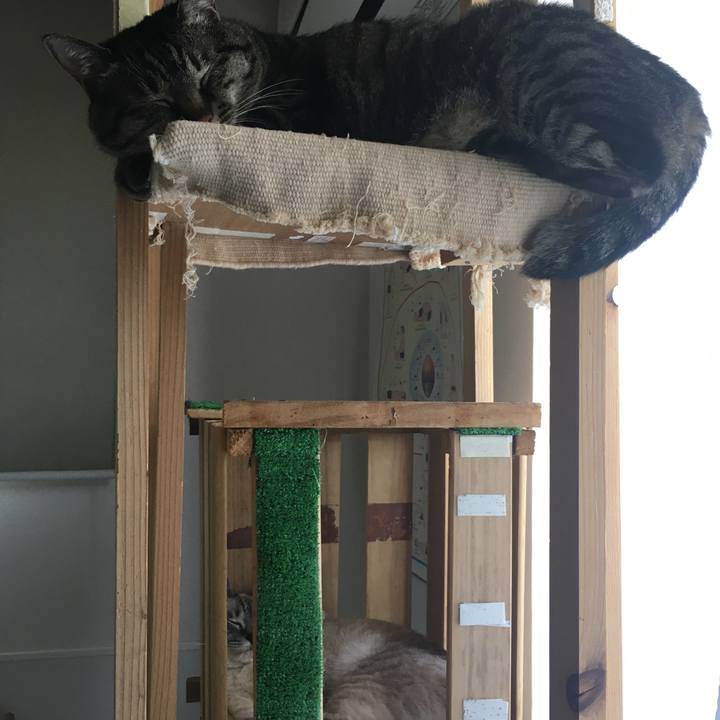 Ebddeb69 c7dc 4b4c ac02 b39adc2f313d 1589685634545