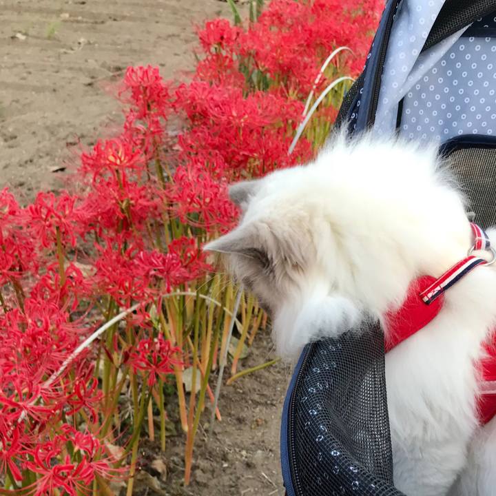 Ebde0604 40fe 41a0 9795 c718db584a6f 1601598536991