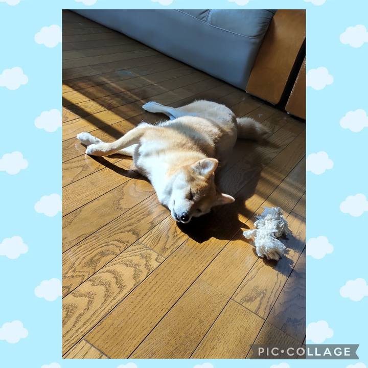 Ebde157d 6d4b 4629 b896 3b3f4ac379a0 1737699960818