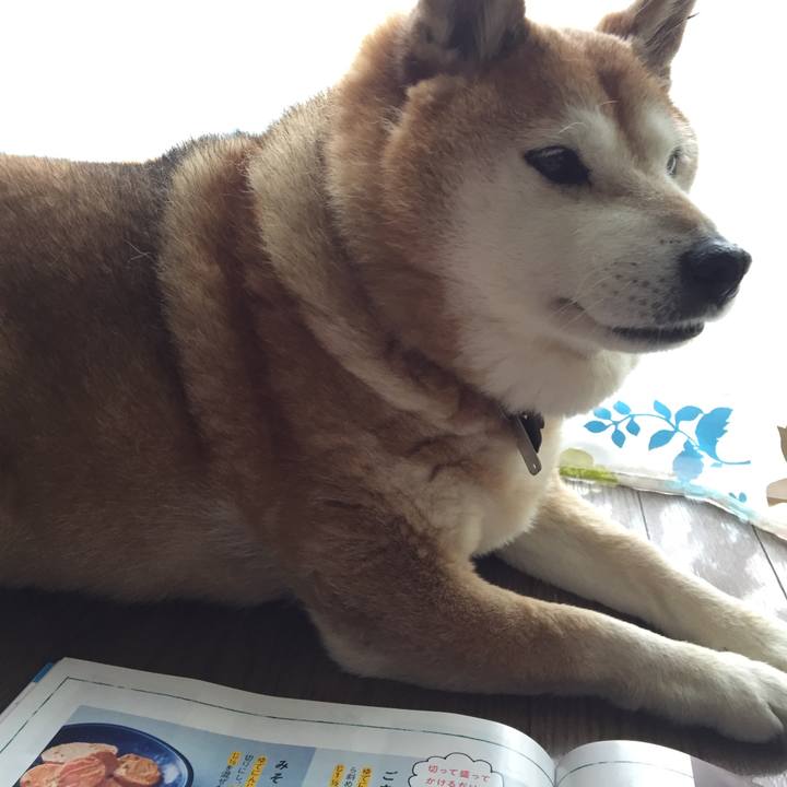 Ebde2133 7202 4bbf b79e ec5c594dc334 1553953342042