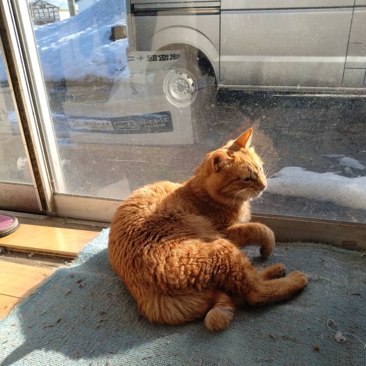 Ebde46f4 4638 418d a99d 3b46e9249205 1674104969204