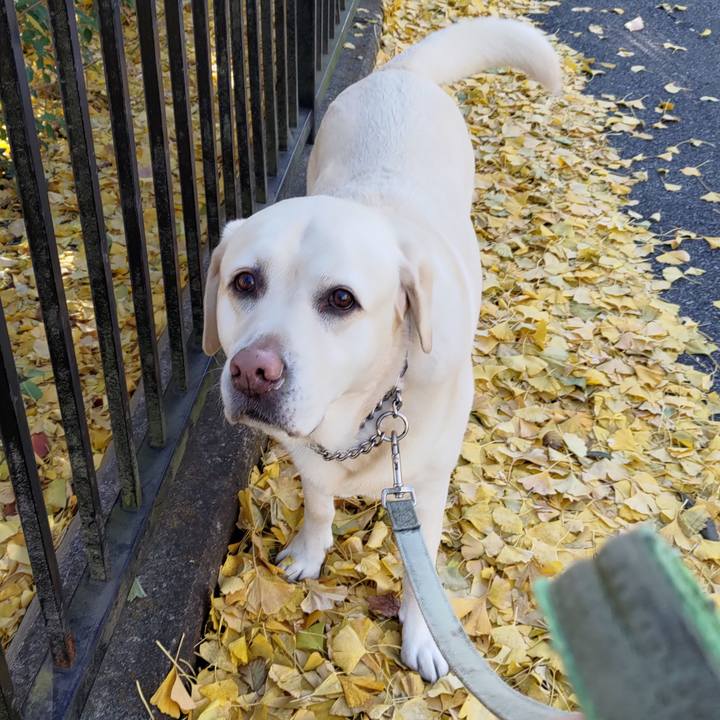 Ebde685e b425 4003 80bf 40e29864b4ec 1702101191130