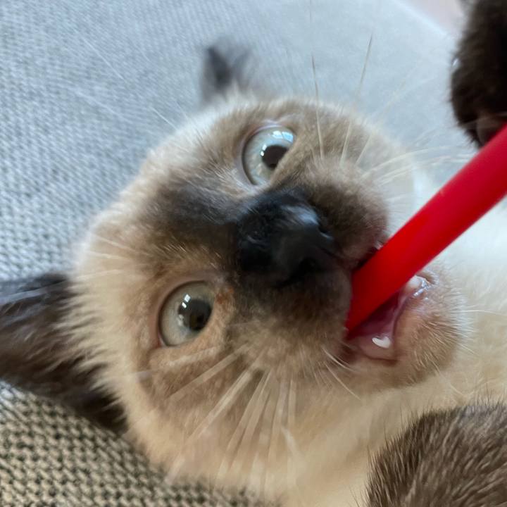 Ebde76b4 8fbe 4362 bac1 061cd44b7b66 1689372356972