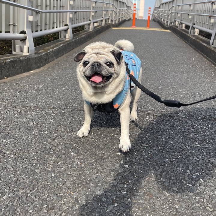 Ebde8327 aa28 4105 aed8 2d6142016479 1771471532887