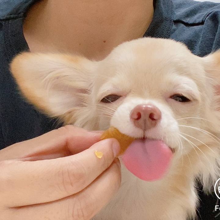 Ebdeab52 3ad5 402e a070 8ce4a0fe812f 1602242643324