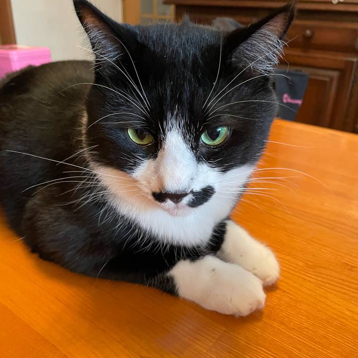 Ebdeb9f4 2794 4260 bcce cfd7b605fede 1665443542067