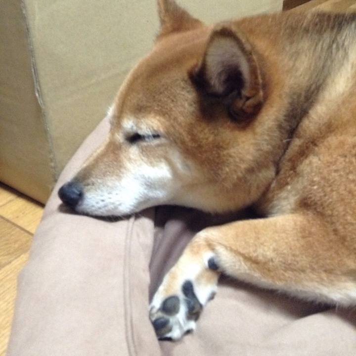 Ebdee99e 38ed 4173 ae6e 14e11acc1275 1536156814443