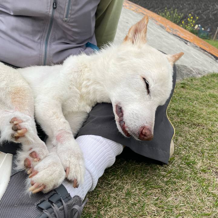 Ebdf2c41 c417 4a73 b3dd faa458f85402 1679653041229