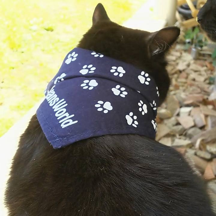 Ebdf377b a035 4093 b8cc 34a35f1a3b0d 1556945846119