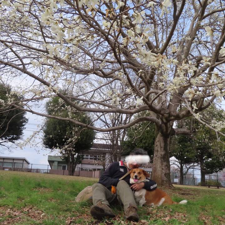 Ebdf47ae 516a 4cea 9798 c6b91e1787df 1648086962820