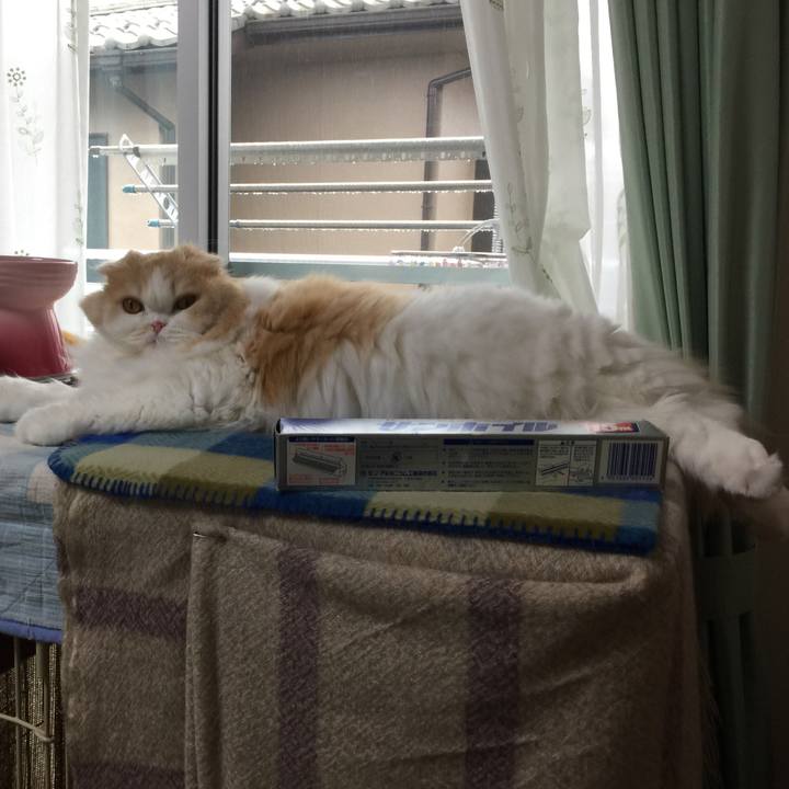 Ebdf697a f500 409b 8d23 48051986acd1 1585716887930