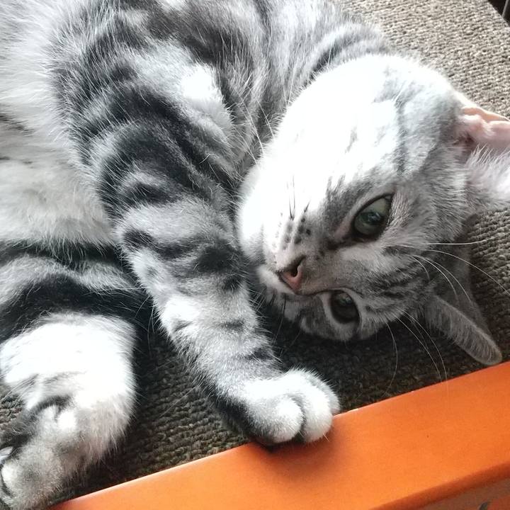 Ebdf709f 0d80 4408 b2a3 31cea1ba5265 1662550533821