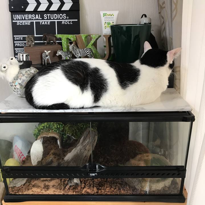 Ebdf9101 c8f4 4efd 9a87 ed8d4bb30df3 1536134599107