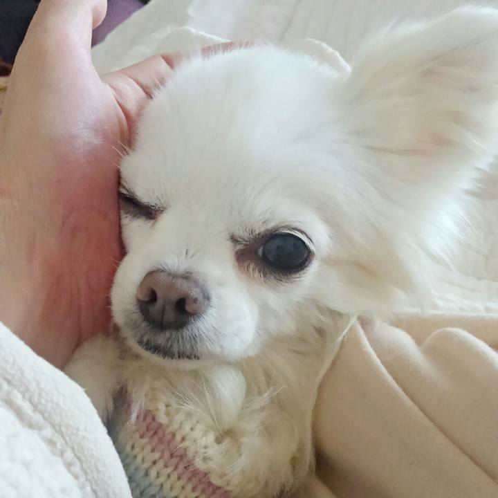 Ebdfad0b f57b 4cc9 9ac0 dc22d1df7acf 1515782285446