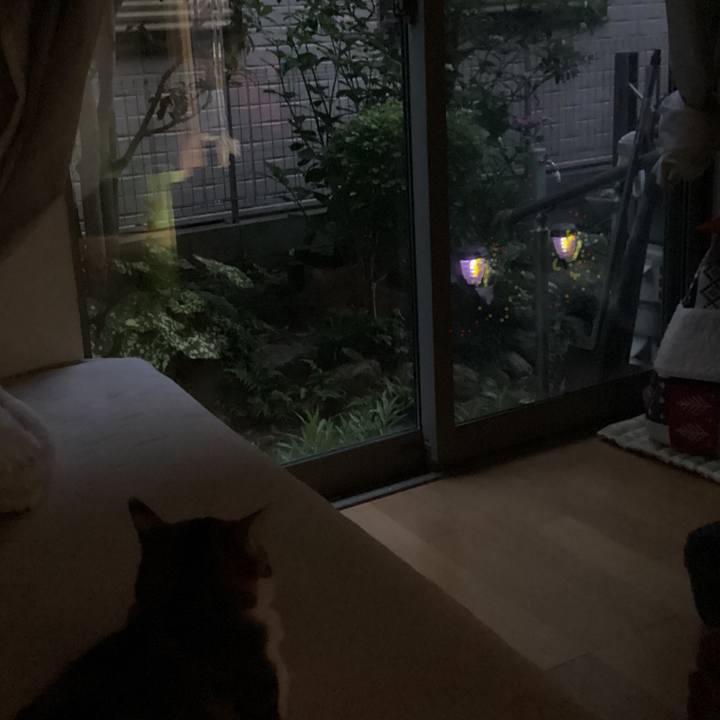 Ebe0259c d820 4481 829c 50b576c0254c 1654898387716