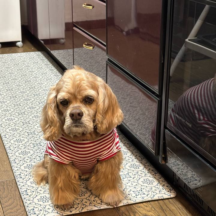 Ebe03b4e 4b6d 4fc7 8fc0 fdbcebd27c6f 1769608044651