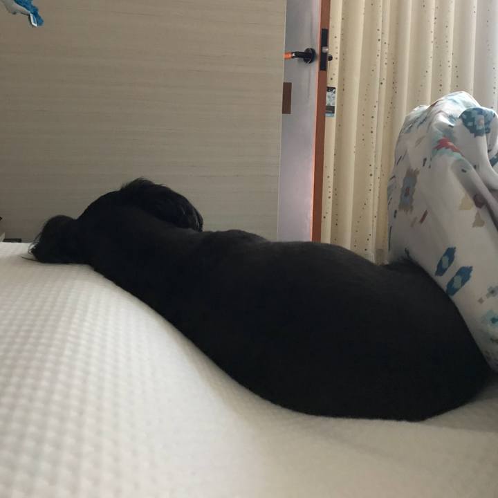 Ebe074ba da71 4cbf b614 2d59b844fcf1 1533485030544