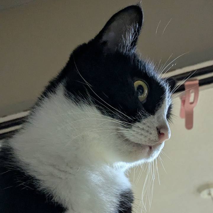 Ebe0787d 84d4 476c bf7e 9564f105660d 1759416987745