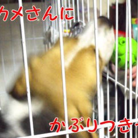 Ebe08b63 0d8b 422a a331 98e6798cf443 1683346975975