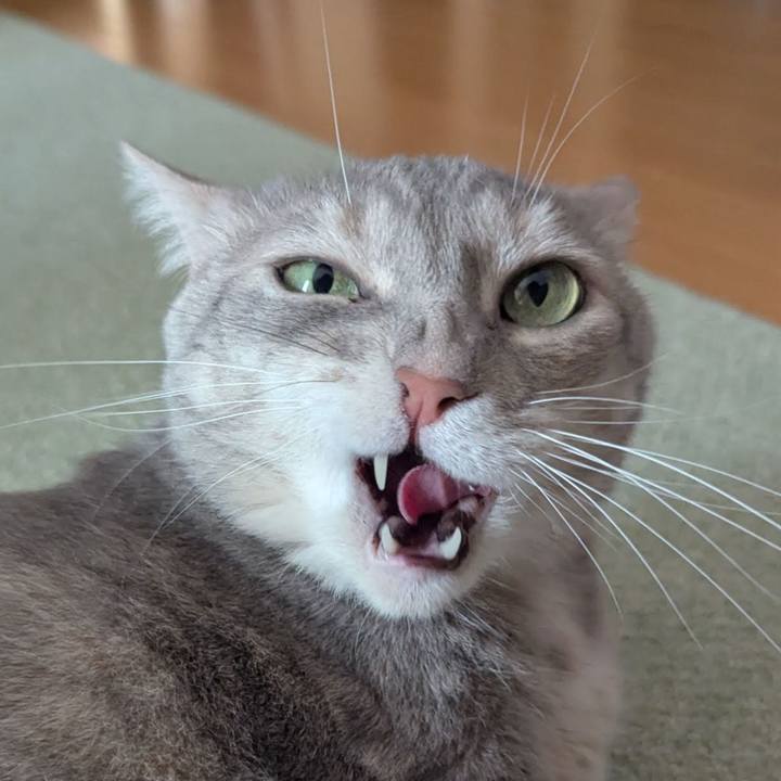 Ebe08de6 ad11 41c1 8b91 e1e039cbfcf1 1748242108673