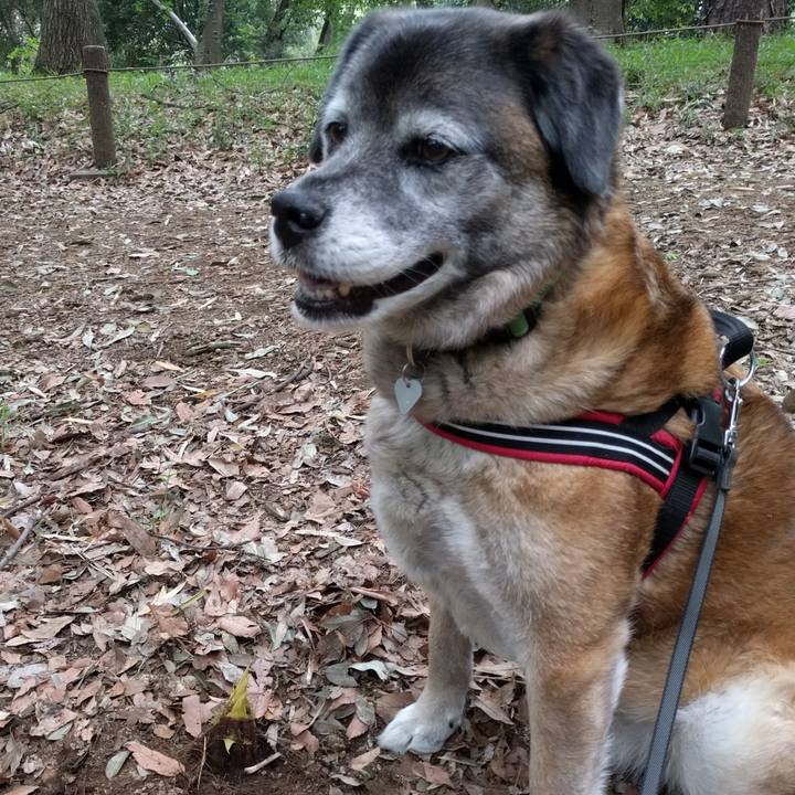 Ebe09478 baab 4aa2 bf1d 7670da713f6a 1524444829982