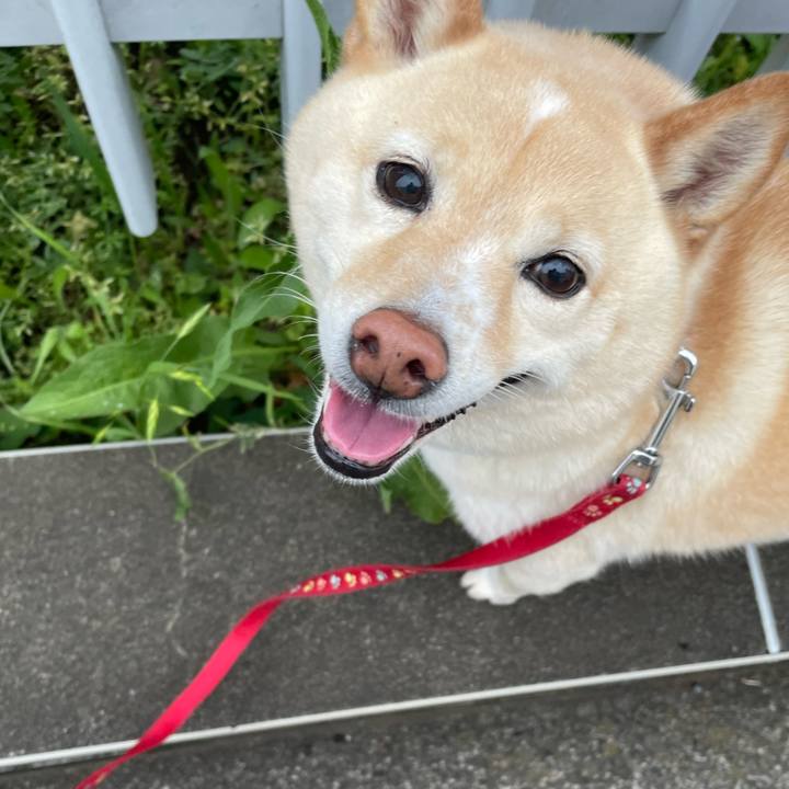 Ebe0997a 40c9 4023 84d5 400d17e86e8b 1714257214524