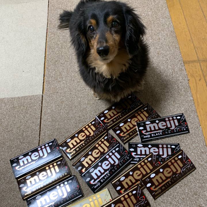 Ebe0cdd9 bb26 4161 9366 2de1adf13b13 1550094533458