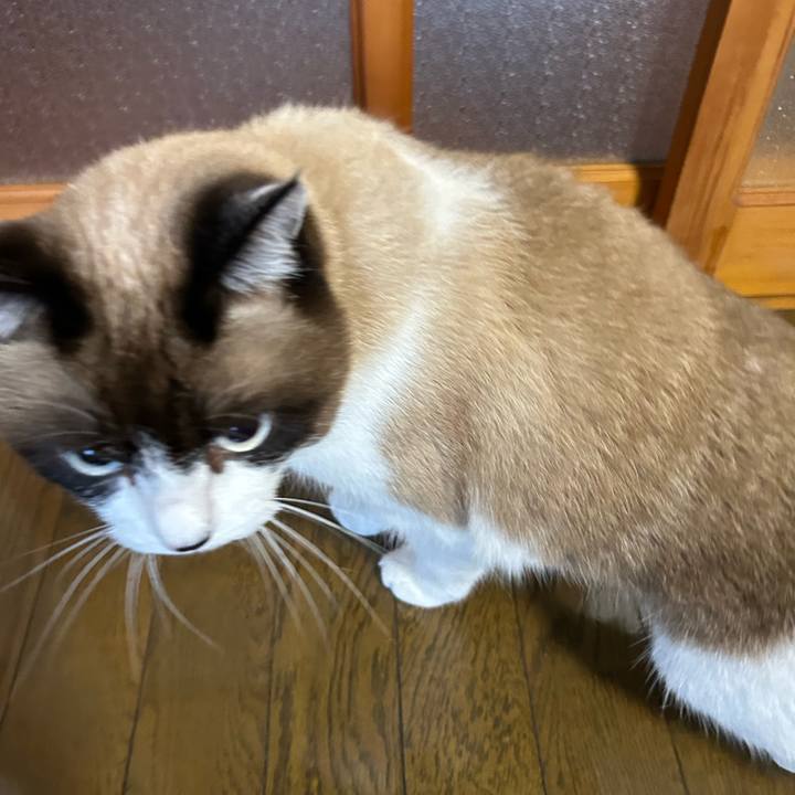 Ebe11394 9b3f 4b2d 9ebf 6f11a4045266 1762554248202