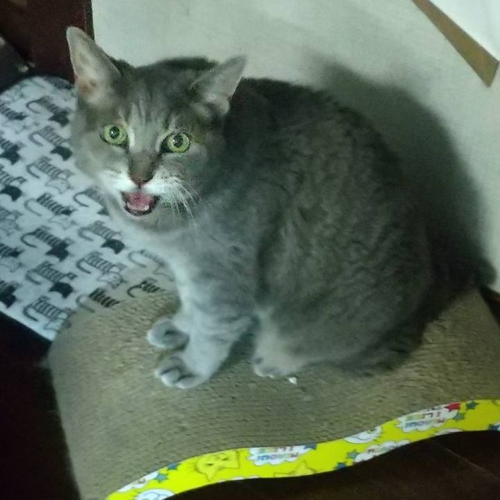 Ebe12183 048a 4ca2 a226 b40548928e66 1661423722897