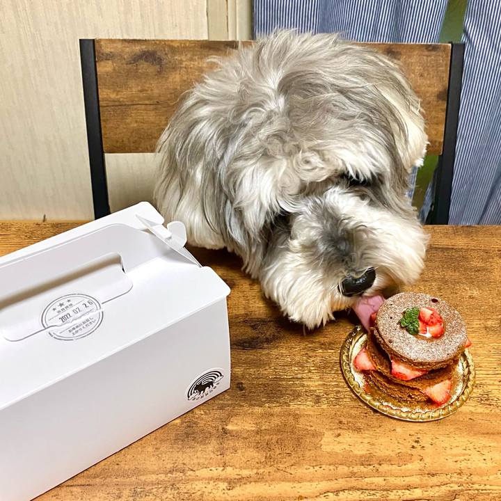 Ebe12cda c17e 481d a7fe ab8b4fe84e9b 1645880036707