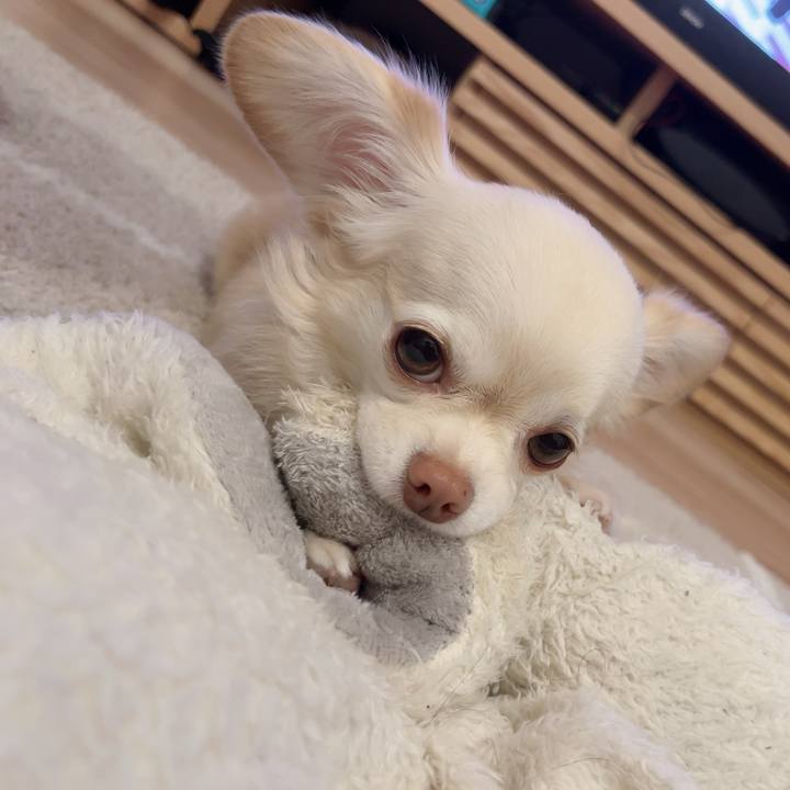 Ebe1435e b503 474f b312 45509c1f3410 1728300751606