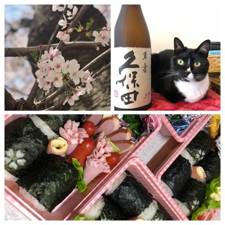 Ebe14b9f 96ab 4c93 8a68 e72f5a01d395 1522618855393