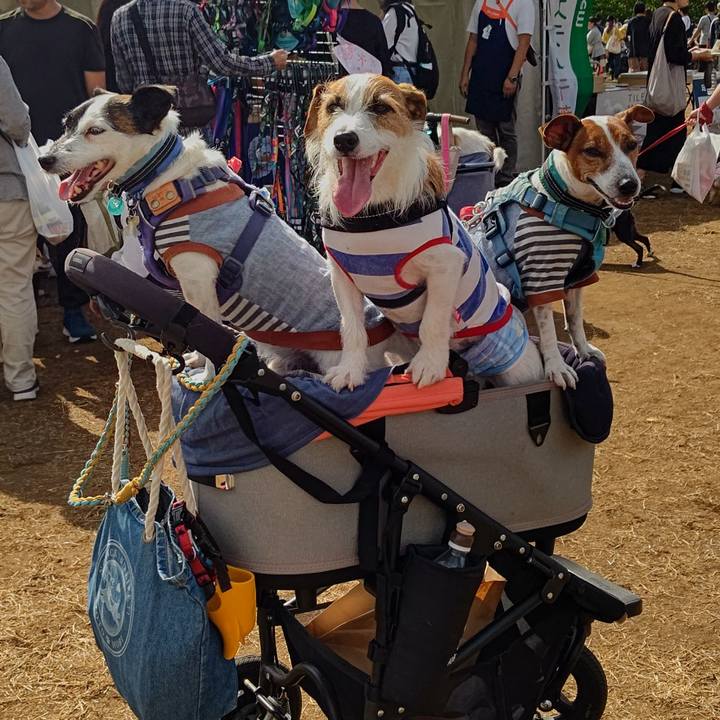 Ebe15c2b f0af 47d1 bed2 83dd82471229 1695559650176