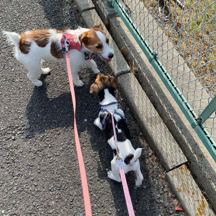 Ebe1a520 0e3d 46cc b414 a480309aef85 1745022079895