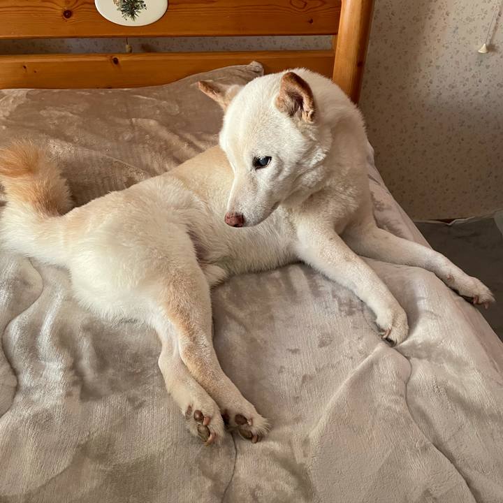 Ebe1b7d5 1f83 4e09 b616 093eca494ba0 1635039828691