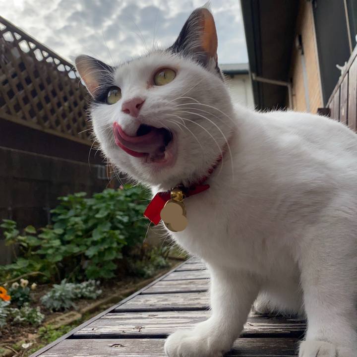 Ebe1cbac 4c0b 49c0 bb67 3b04de984aee 1640516458641