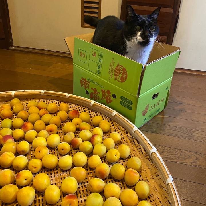 Ebe1e958 a9a7 487d b12e 0ce75b7f660d 1655606981806