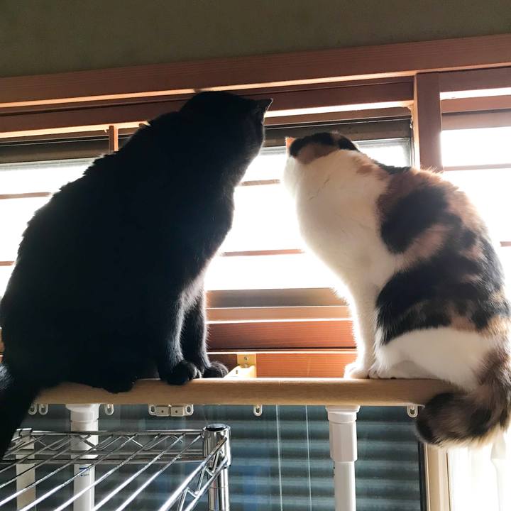 Ebe1fd7d 11a2 4ab3 b7b8 00b6ff07bbbe 1518360006971