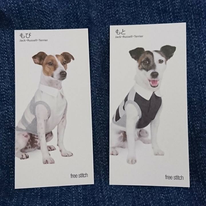 Ebe22dc1 7940 4f22 a2c6 bc6aa444f683 1564583769799