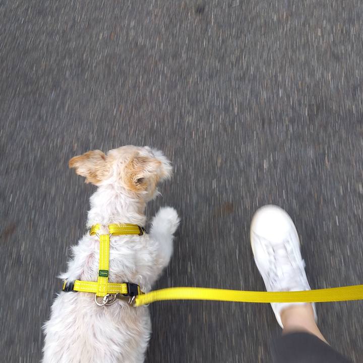 Ebe2524e 7dfd 4f9e a720 3b6b18e97478 1629861666143