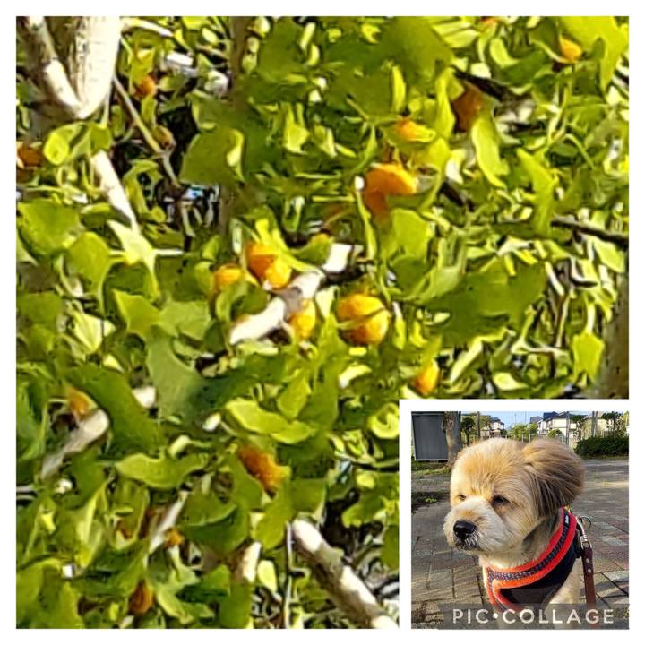 Ebe26111 1242 4ee4 b782 51ee19671f63 1663631349597