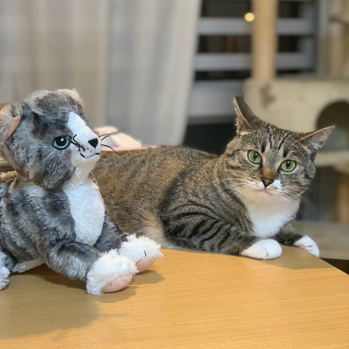 Ebe2d83c 146d 4b26 806a 4a35b2915c75 1604972282087