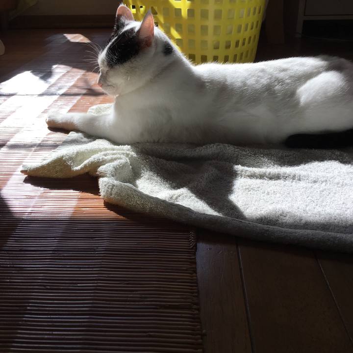 Ebe3473a 7d9f 41f7 8bf8 8d362b47fab1 1509014789551