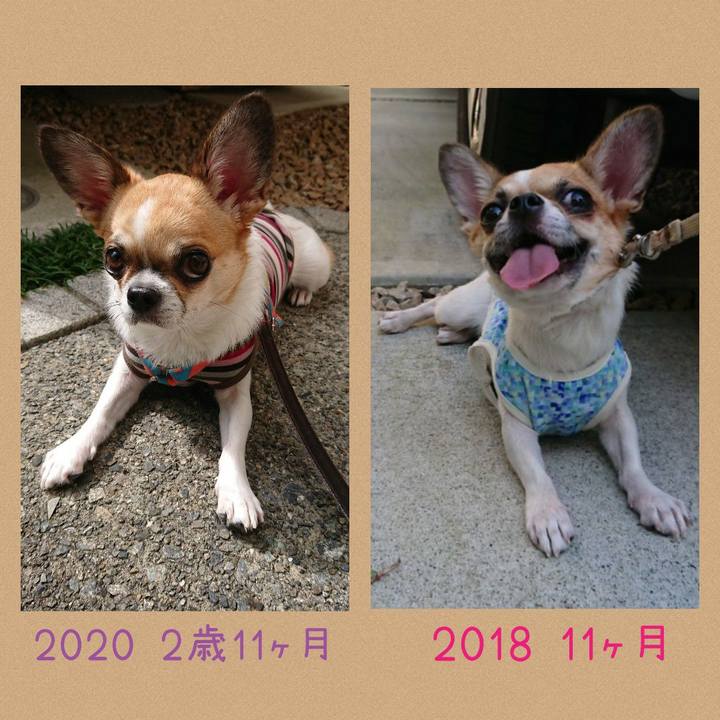 Ebe34b96 4726 47ef 84be 9ce6750ba4e5 1602545195401