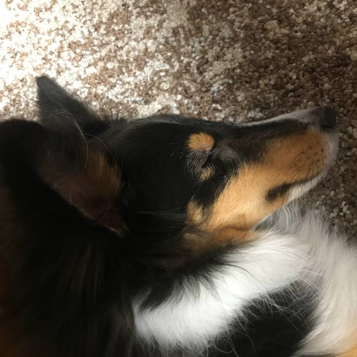 Ebe371ed f66b 46b6 a0a5 9fc7ae887e12 1519163489428