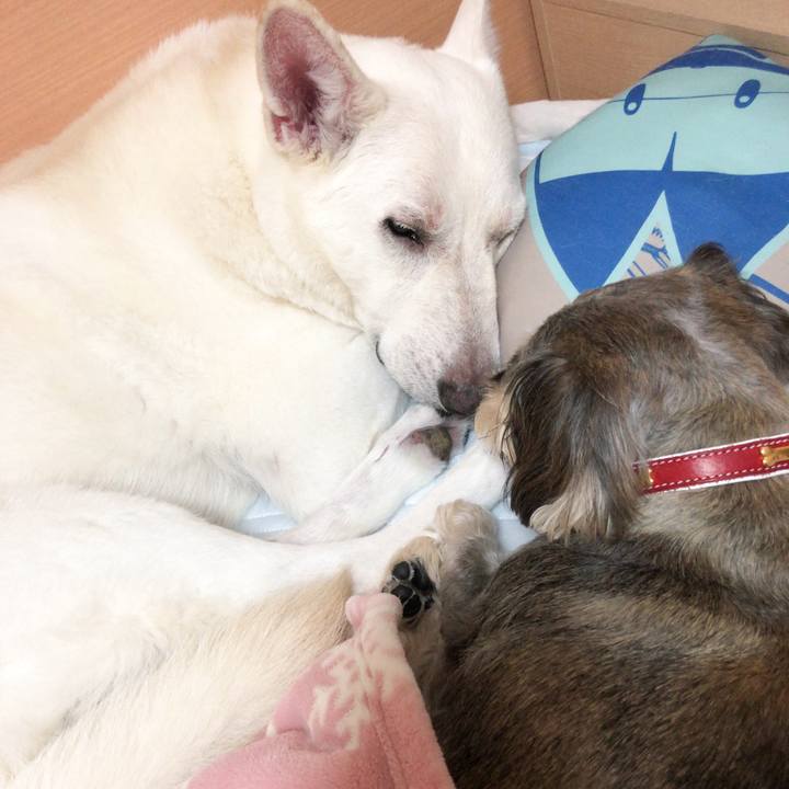 Ebe389d2 d7fb 4a82 89f7 21322b4ae8f6 1536828751271