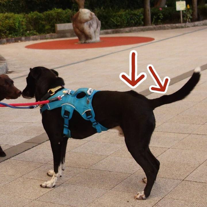 Ebe3f319 ac07 4e72 8980 ad2a9a2710c2 1627052822923